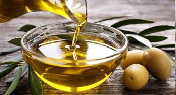 SE LA FIEL AMANTE DEL ACEITE DE OLIVA