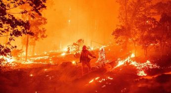 AL MENOS 10 MUERTOS POR INCENDIO FORESTAL EN CALIFORNIA