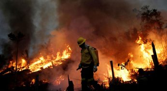 EN BRASIL DECLARAN ESTADO DE EMERGENCIA POR INCENDIOS FORESTALES
