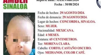 DETIENEN A MUJER PRESUNTAMENTE RESPONSABLE DEL ROBO DE UNA BEBÉ EN CONCORDIA