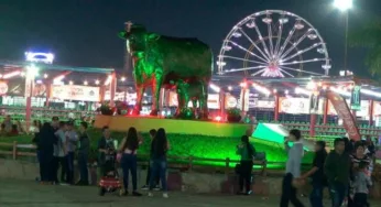 ¡FERIA GANADERA Y PALENQUE SI SE LLEVARÁN A CABO!