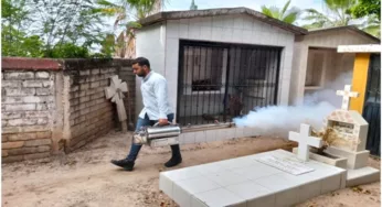 AVANZA CAMPAÑA DE FUMIGACIÓN EN MUNICPIO DE GUASAVE
